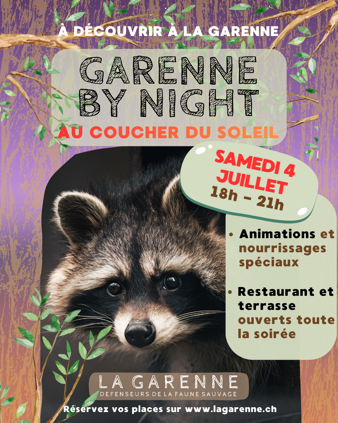Garenne by night