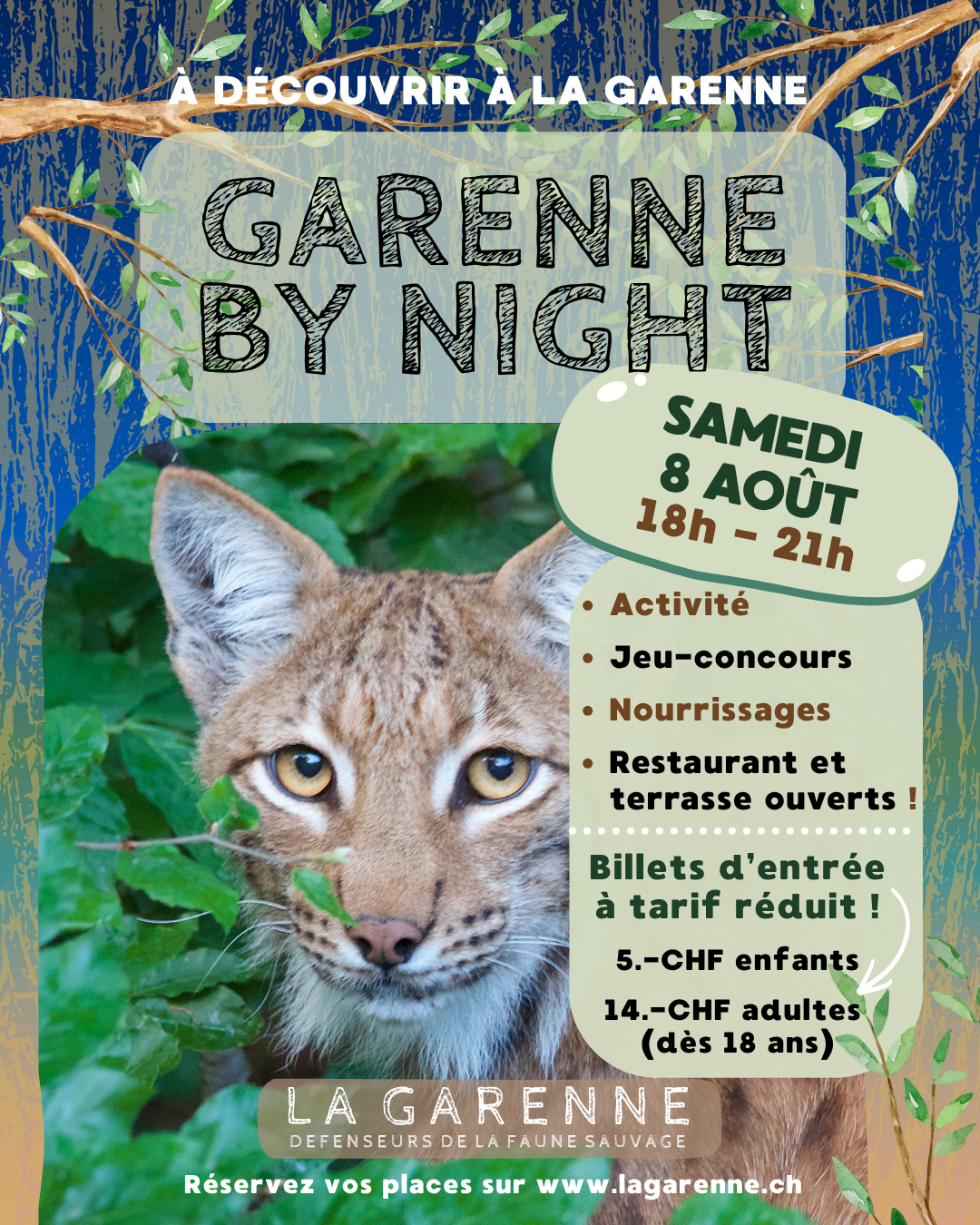 Garenne by night
