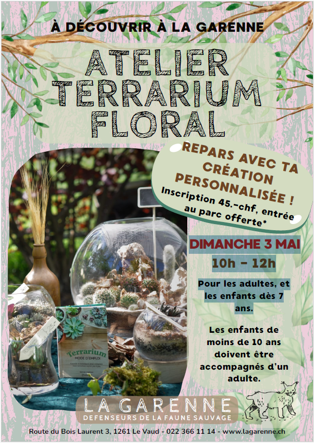 Atelier terrarium floral à La Garenne