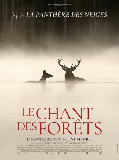 Projection du film « Le Chant des Forêts » de Vincent Munier