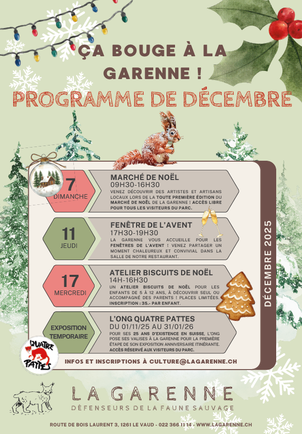Programme des animations de décembre à la Garenne