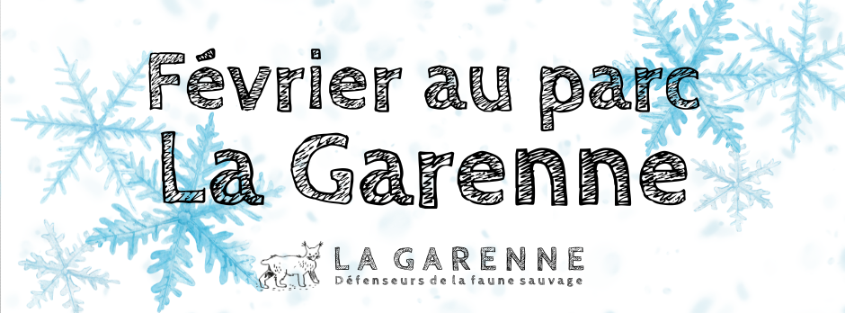 Parc La Garenne : programme des animations de février
