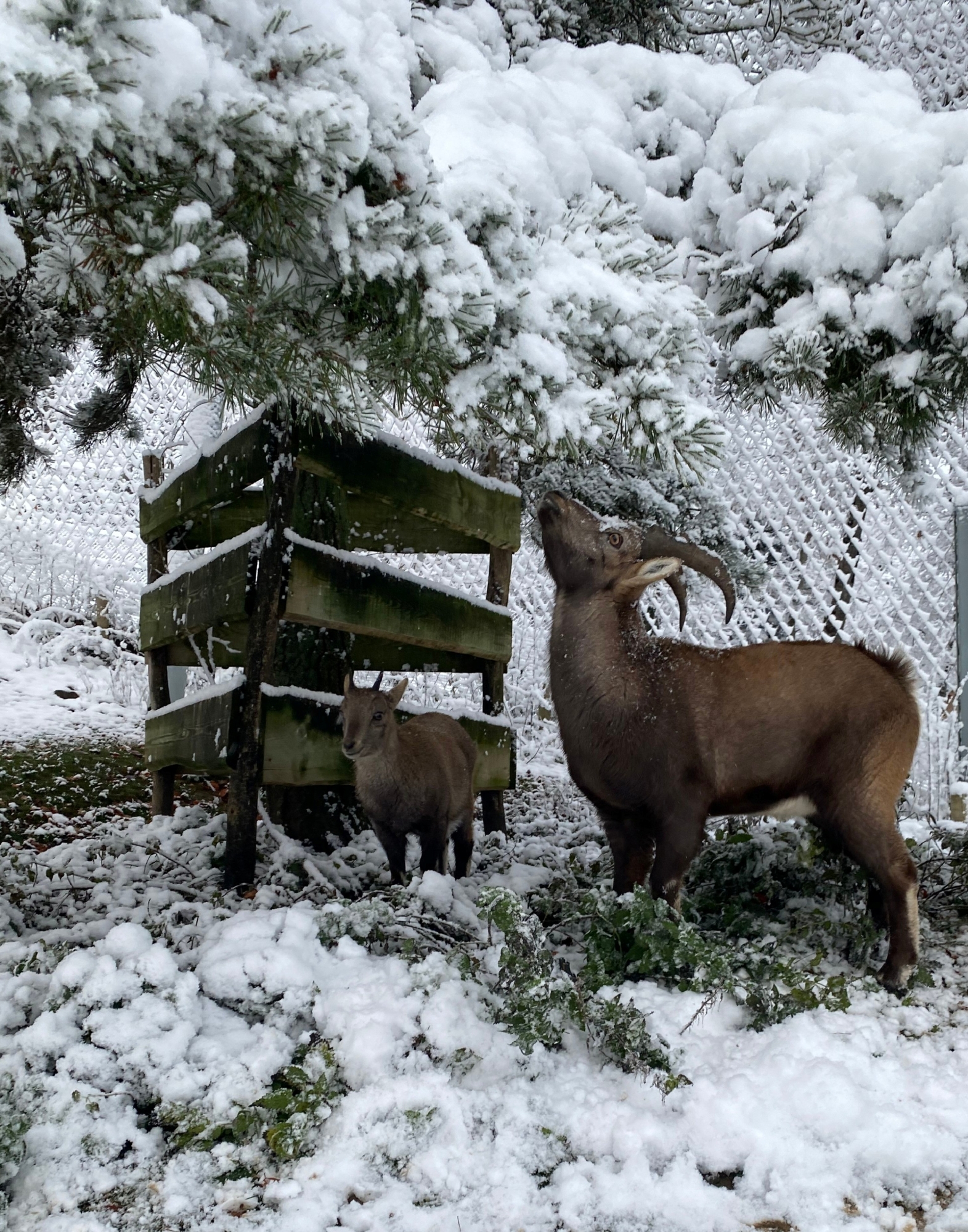 Programme des animations de décembre à la Garenne