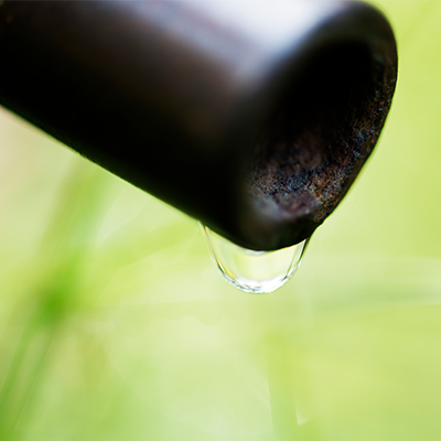 comment-eviter-de-nombreuses-pollutions-chaque-annee