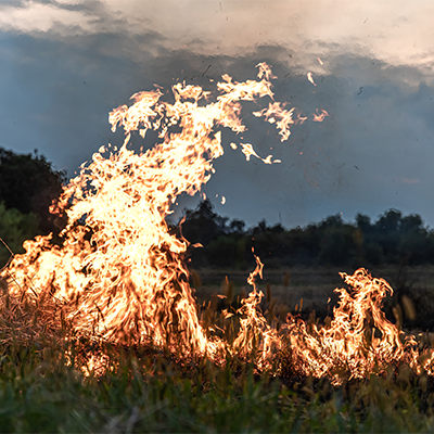 danger-d-incendie-de-foret