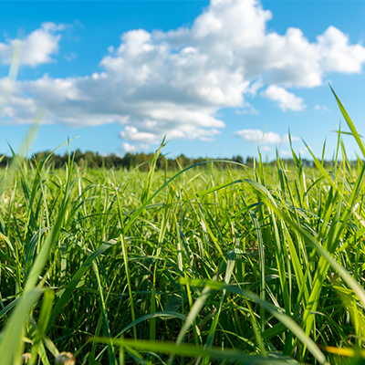 journee-coup-de-balai-2026